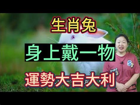 屬兔房子座向